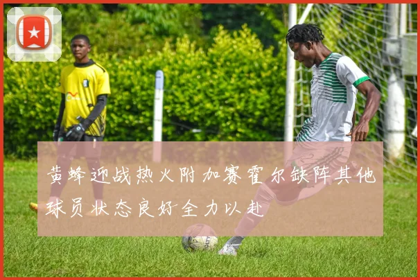 黄蜂迎战热火附加赛霍尔缺阵其他球员状态良好全力以赴