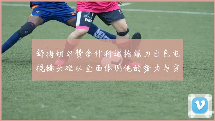 舒梅切尔赞舍什科逼抢能力出色电视镜头难以全面体现他的努力与贡献