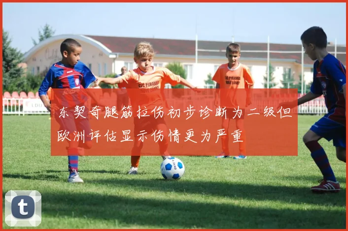 东契奇腿筋拉伤初步诊断为二级但欧洲评估显示伤情更为严重